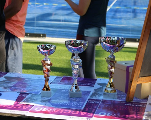 11/05/2024 Memorial Alfio Tangredi - NASTRO VIOLA per la ricerca